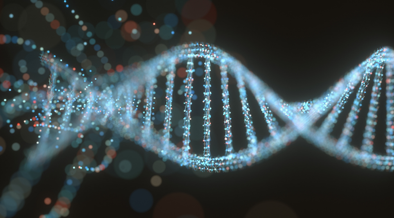 Molecular Evolution
